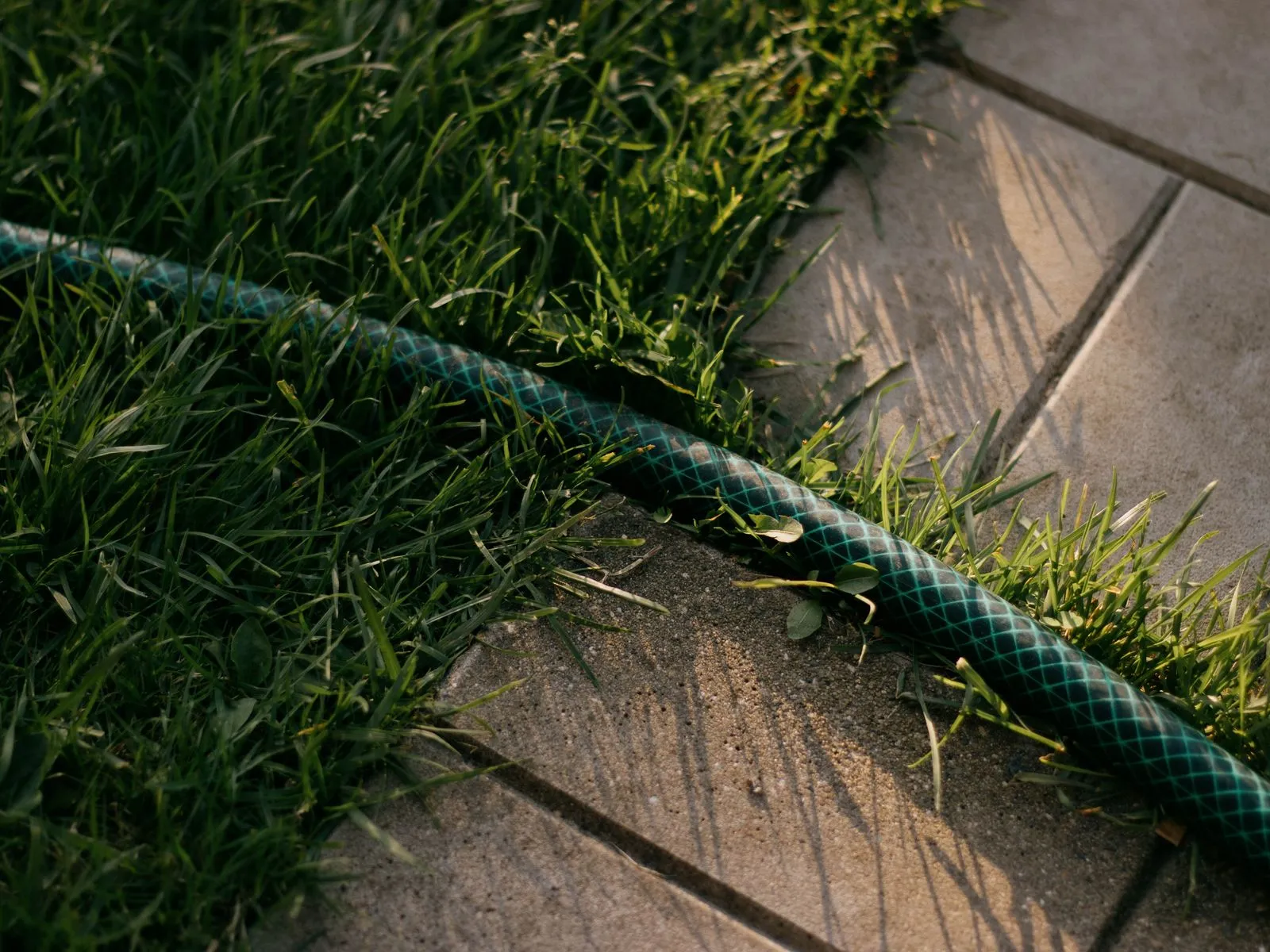 Choosing Irrigation for a Commercial Landscape